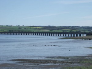 DSCF0381