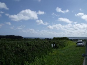 Lands End in view